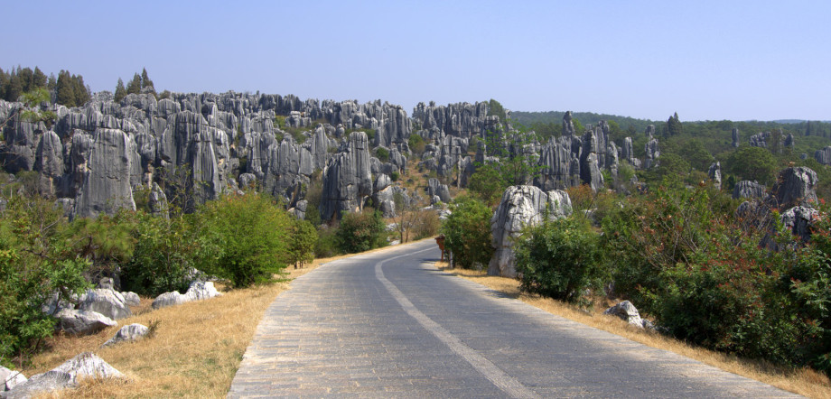 Photo of Stone Forest in Shilin, China